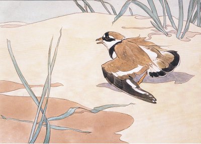 Ring Plover Feigning Injury by Robert George Talbot Kelly